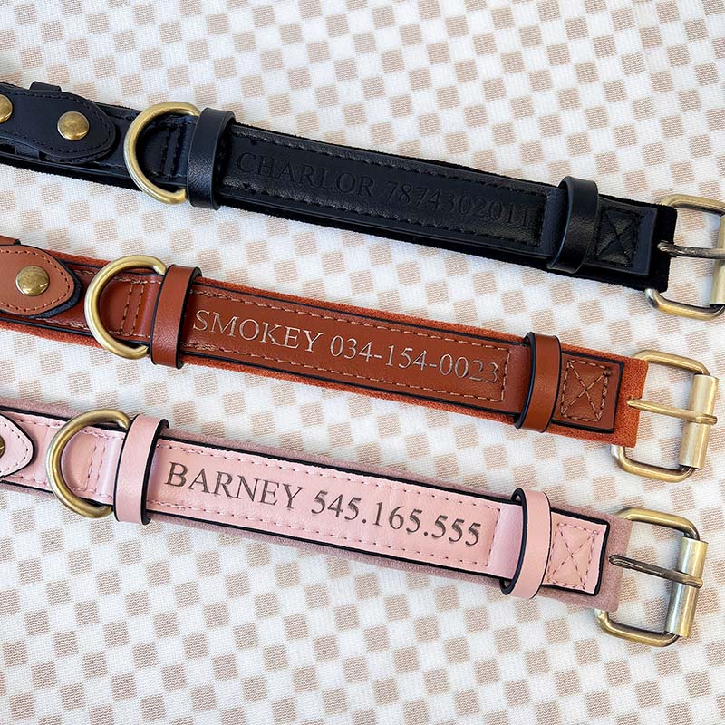 Airtag Dog Collar - Image 3