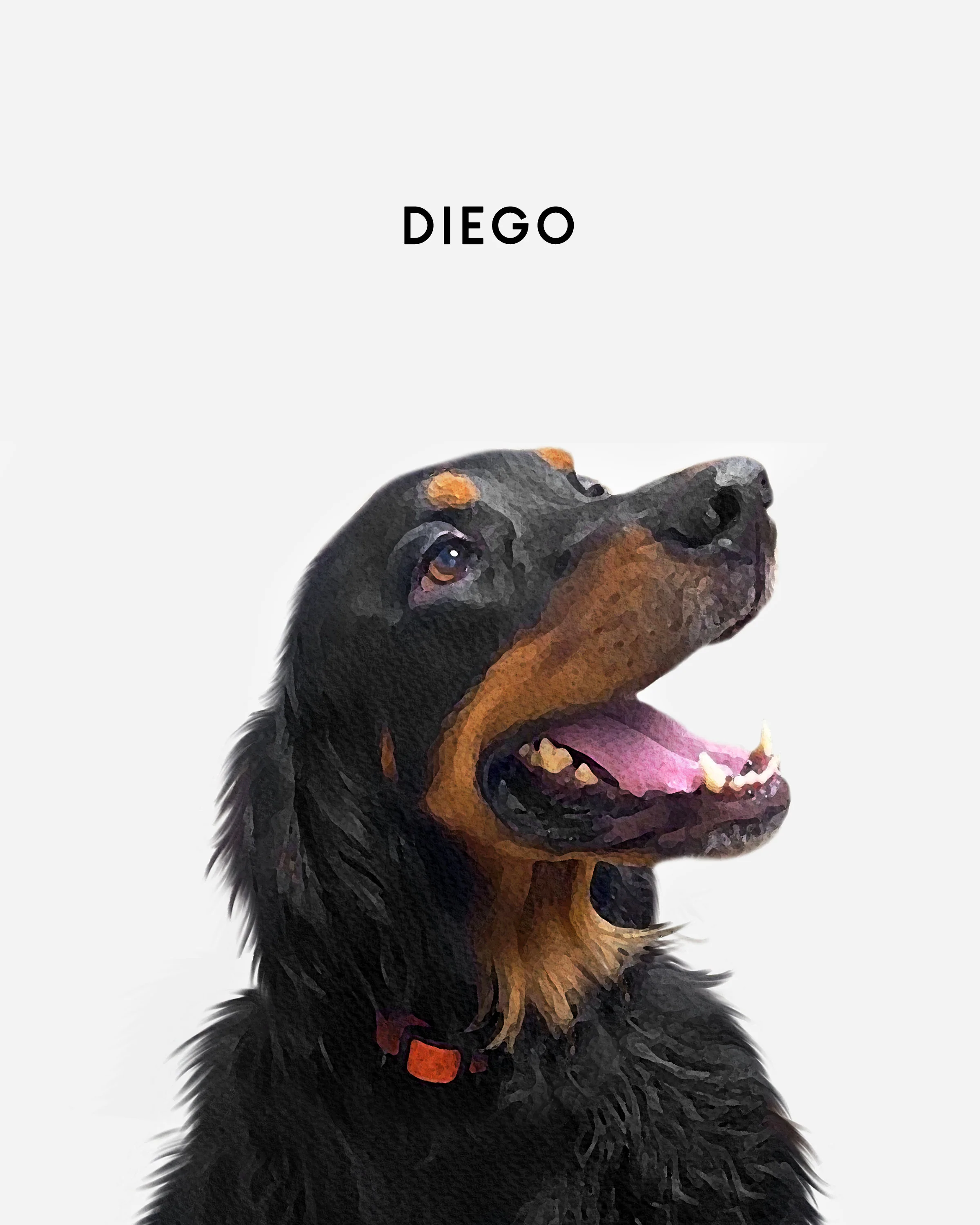 Custom Pet Pen Art Portrait Blanket - Image 3