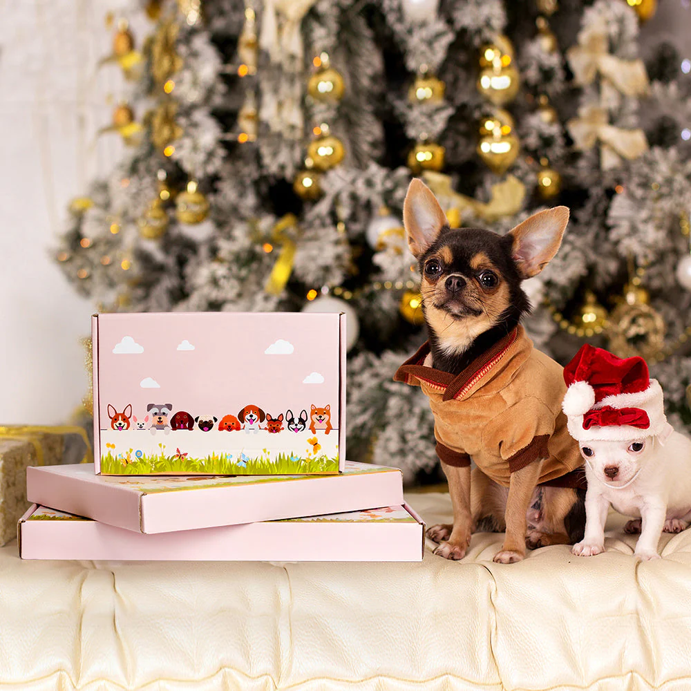 🔥Custom Pet Planter🔥 - Image 4