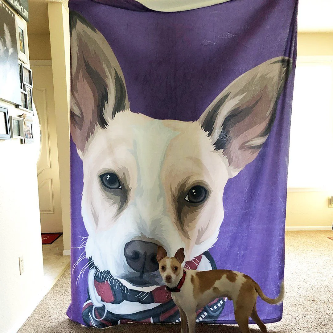 Your Pet on a Blanket - Image 10