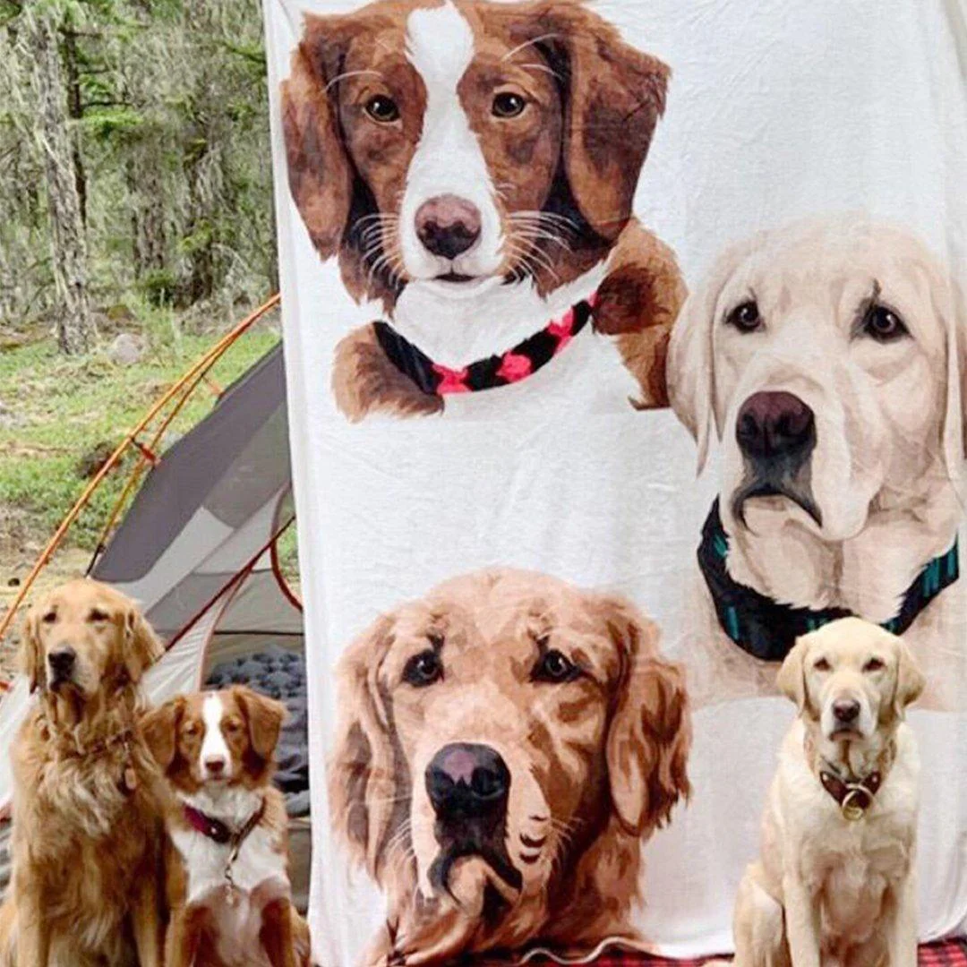 Your Pet on a Blanket - Image 11