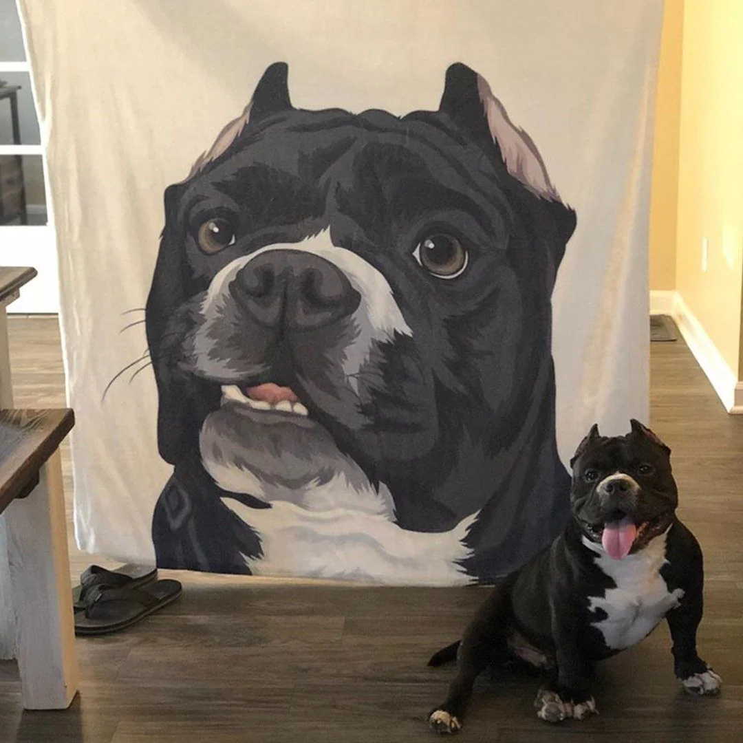 Your Pet on a Blanket - Image 13