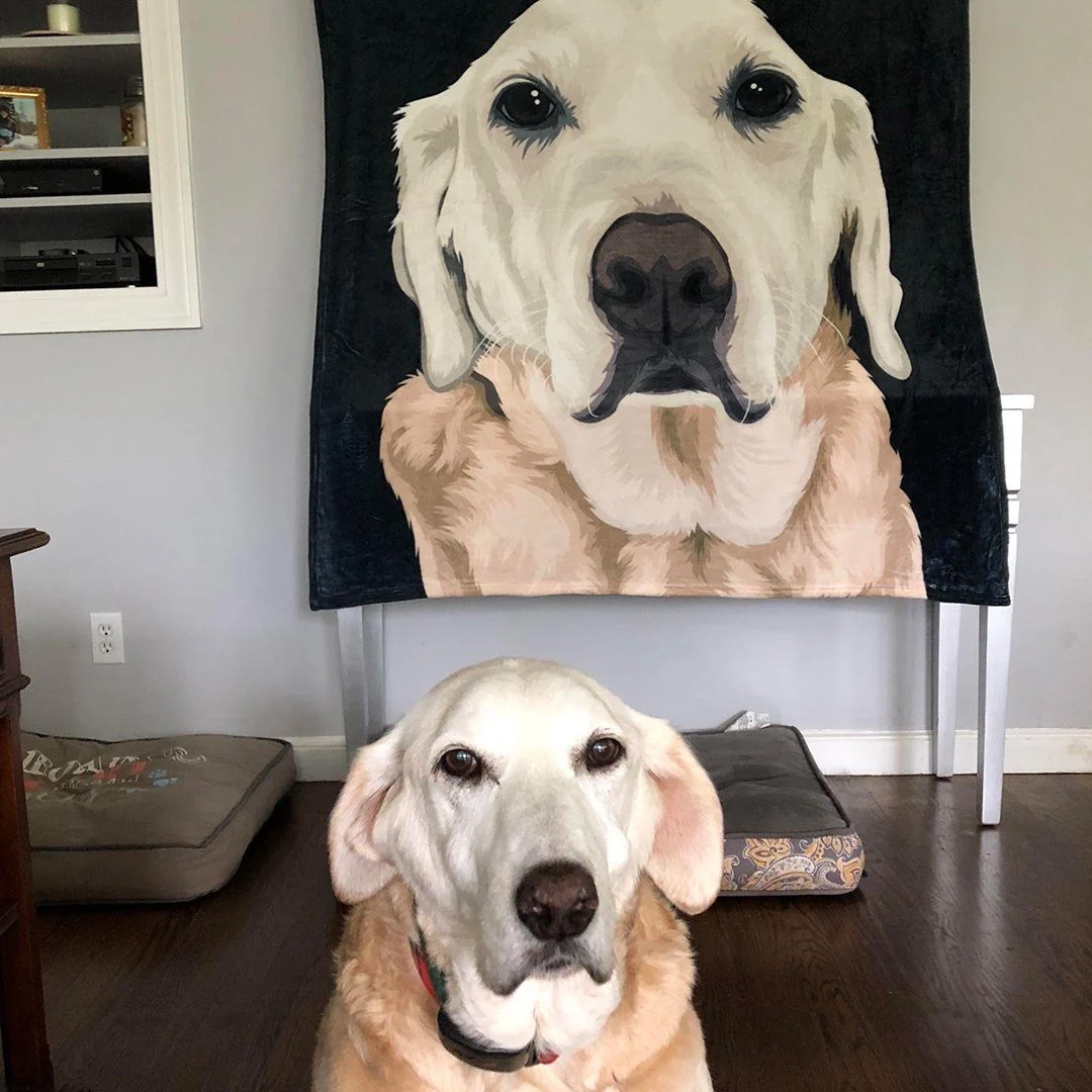 Your Pet on a Blanket - Image 15