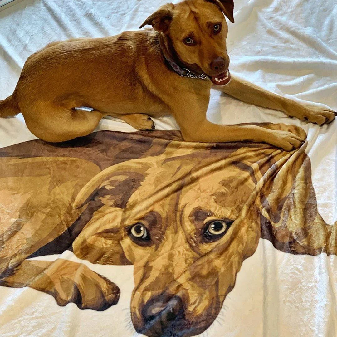 Your Pet on a Blanket - Image 18