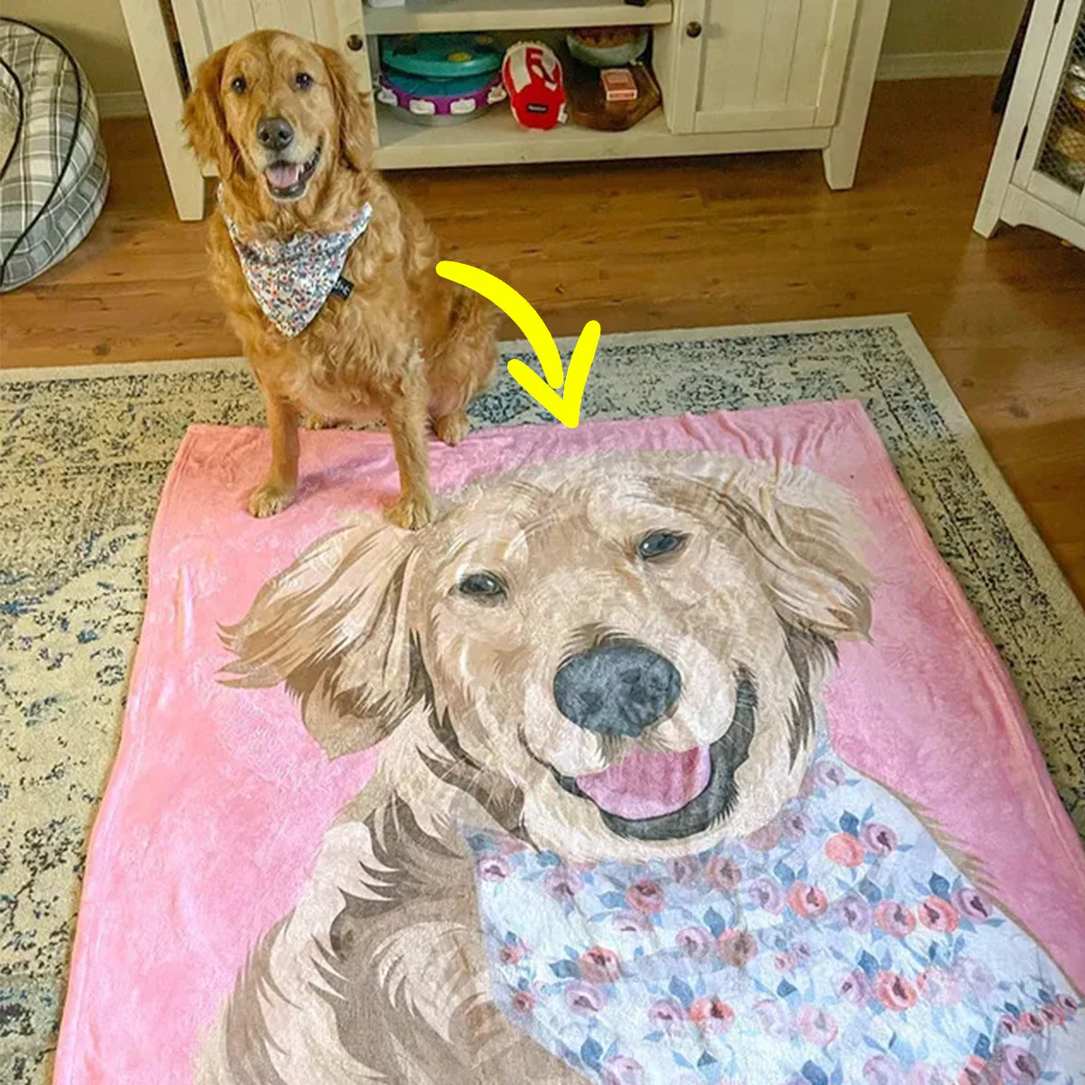 Your Pet on a Blanket - Image 5