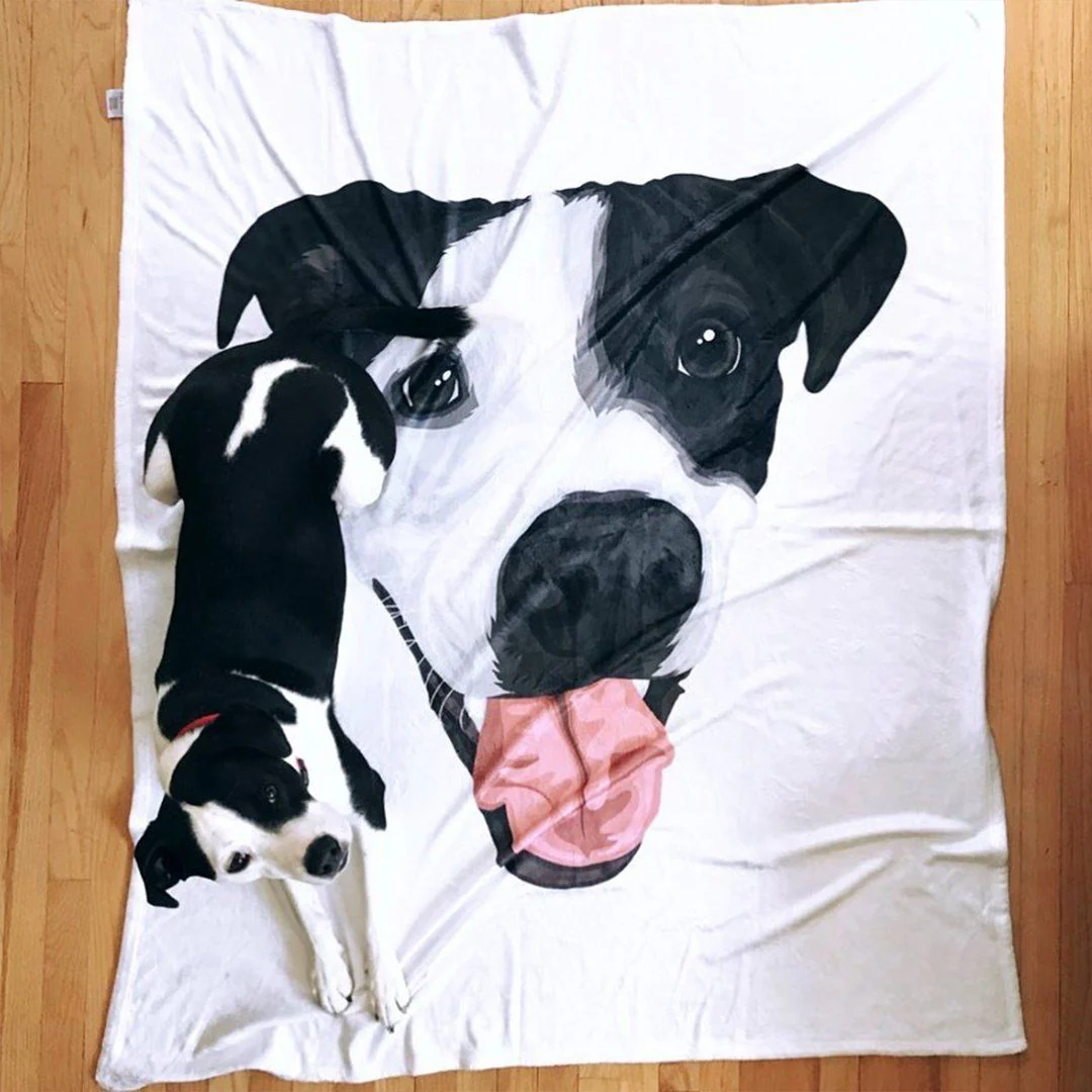 Your Pet on a Blanket - Image 7