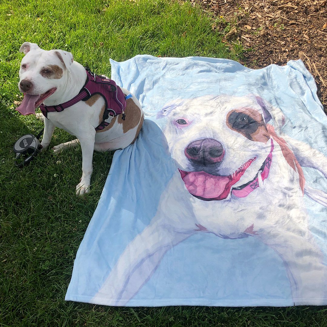 Your Pet on a Blanket - Image 9